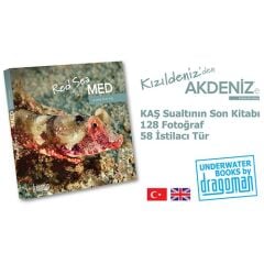 Kitap KIZILDENİZ'DEN AKDENİZ'E / MURAT DRAMAN