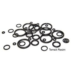 KRAKEN O-ring 12,37x2,62mm.10 adet, Vana tip2 insert için