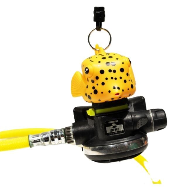 KRAKEN Ahtapot Tutucu, BOXFISH