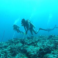 KRAKEN Akıntı Kancası RDH2 Karabinalı